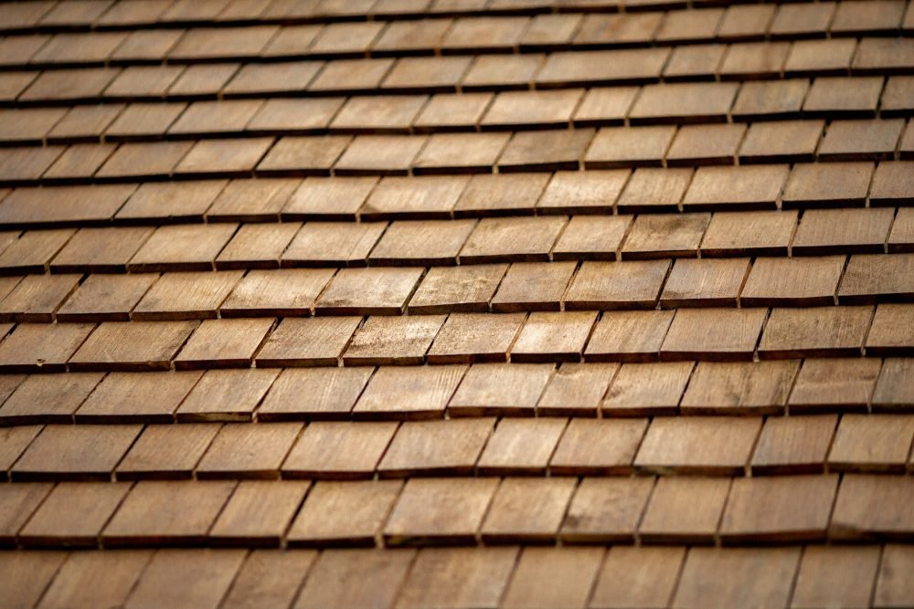 307457333_119115640922489_4115832088862097399_n