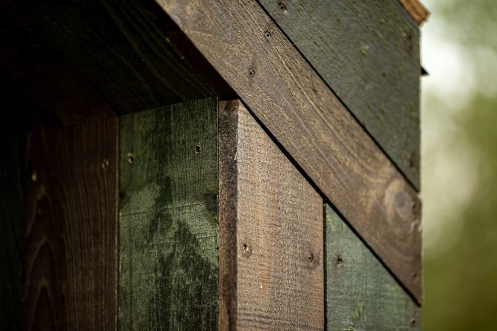 437737822_413572708143446_8285898509394412081_n